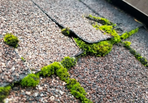 Why Roof Leaks Are a Bigger Threat Than Vandalism at Tourist Sites
